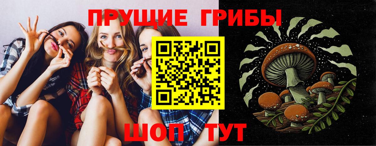 купить наркотик  Псилоцибиновые грибы MAGIC MUSHROOMS  Вход с VPN  Вязники  Галлюциногенные грибы мицелий 