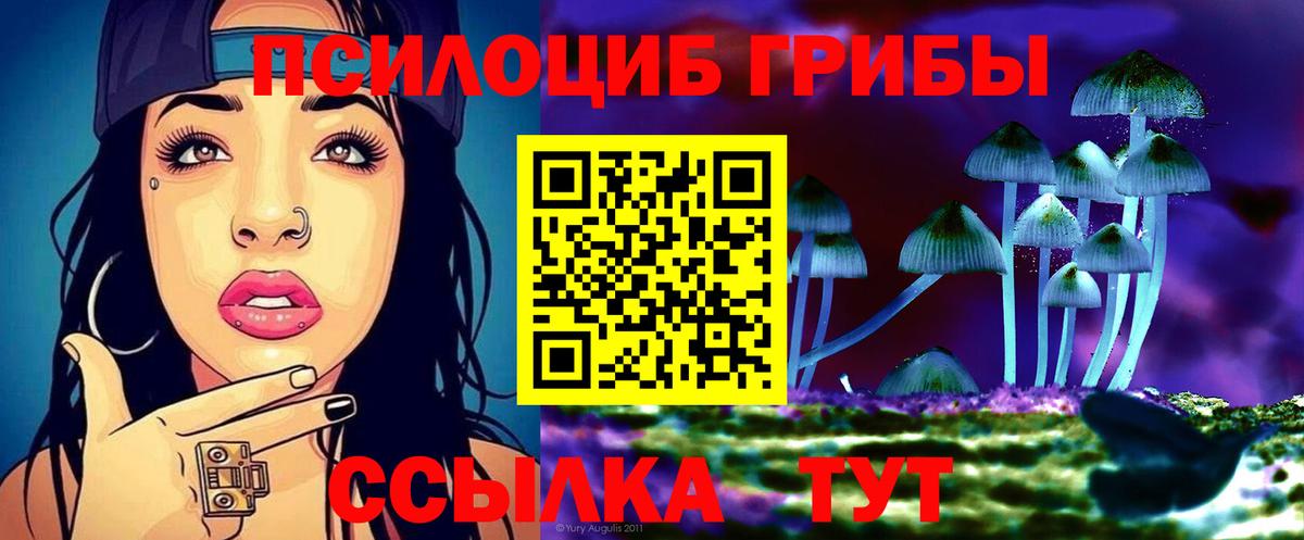 Галлюциногенные грибы ЛСД  Галлюциногенные грибы Psilocybe  Вязники 